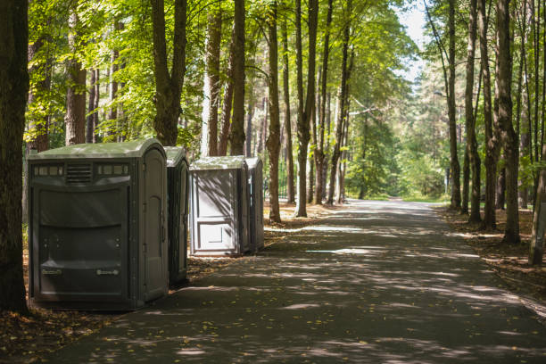 Portable Toilet Options We Offer in Fountain Hill, PA